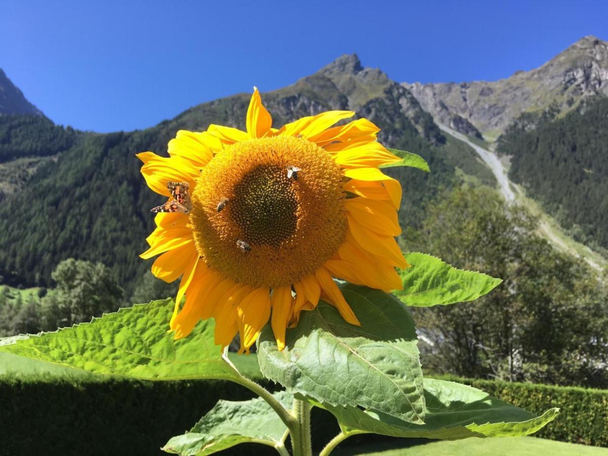 Hotel Haus Sonnwend Sölden Zewnętrze zdjęcie
